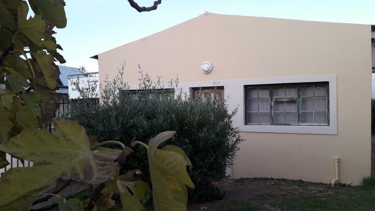 Calvinia Guesthouse Kültér fotó